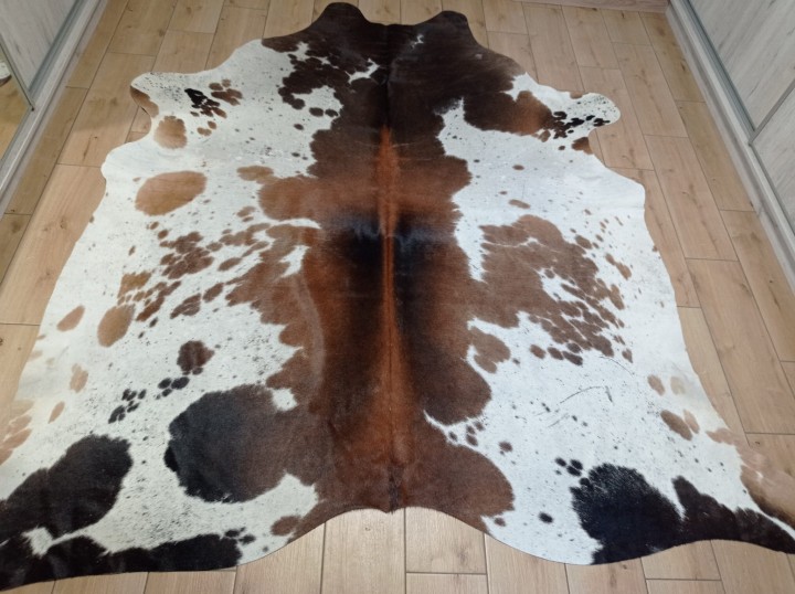 Ogromna  skóra bydlęca 225x215 cm rozłożona w dużym salonie -  TRICOLOR XXL - dekoracyjneskory.pl