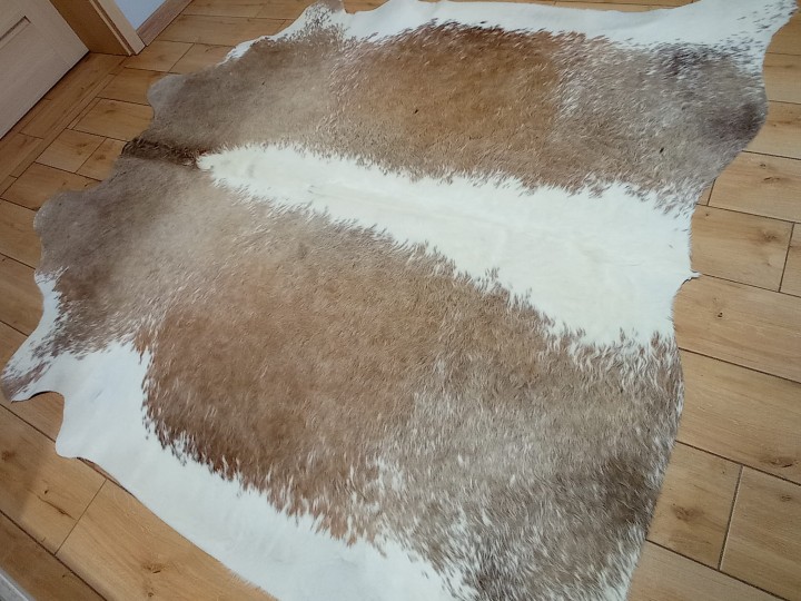 Naturalna skóra bydlęca 210x210 cm rozłożona w dużym salonie - ŁACIATA - dekoracyjneskory.pl