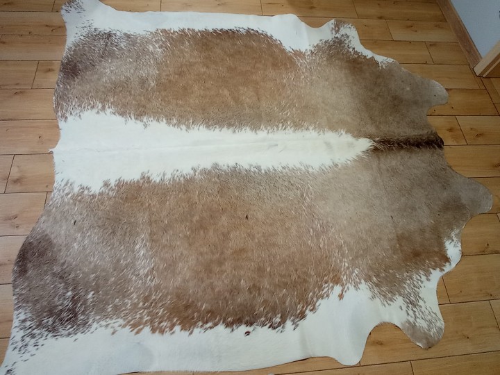 Naturalna skóra bydlęca 210x210 cm rozłożona w dużym salonie - ŁACIATA - dekoracyjneskory.pl