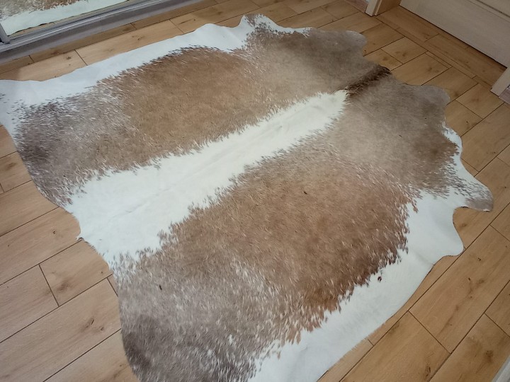 Naturalna skóra bydlęca 210x210 cm rozłożona w dużym salonie - ŁACIATA - dekoracyjneskory.pl