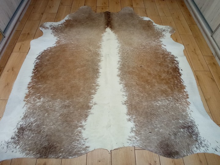 Naturalna skóra bydlęca 210x210 cm rozłożona w dużym salonie - ŁACIATA - dekoracyjneskory.pl