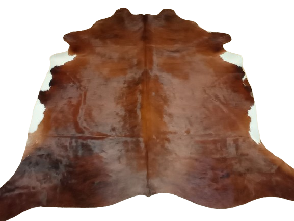 Naturalna skóra bydlęca 230x210 cm rozłożona w dużym salonie - TYGRYS - dekoracyjneskory.pl