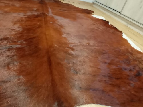 Naturalna skóra bydlęca 230x210 cm rozłożona w dużym salonie - zbliżenie na lśniącą sierść- dekoracyjneskory.pl