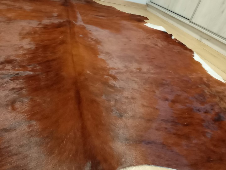 Naturalna skóra bydlęca 230x210 cm rozłożona w dużym salonie - zbliżenie na lśniącą sierść- dekoracyjneskory.pl