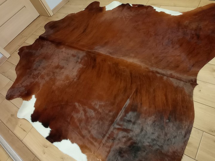 Naturalna skóra bydlęca 230x210 cm rozłożona w dużym salonie - TYGRYS - dekoracyjneskory.pl