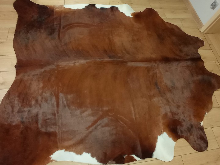 Naturalna skóra bydlęca 230x210 cm rozłożona w dużym salonie - TYGRYS - dekoracyjneskory.pl