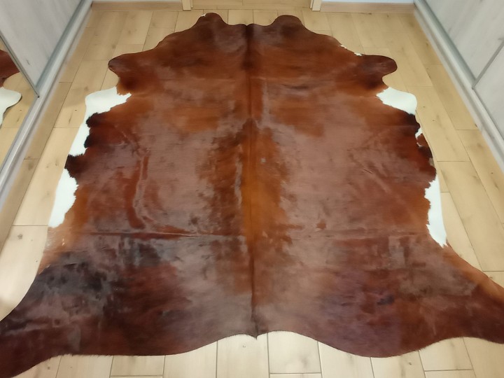 Naturalna skóra bydlęca 230x210 cm rozłożona w dużym salonie - TYGRYS - dekoracyjneskory.pl