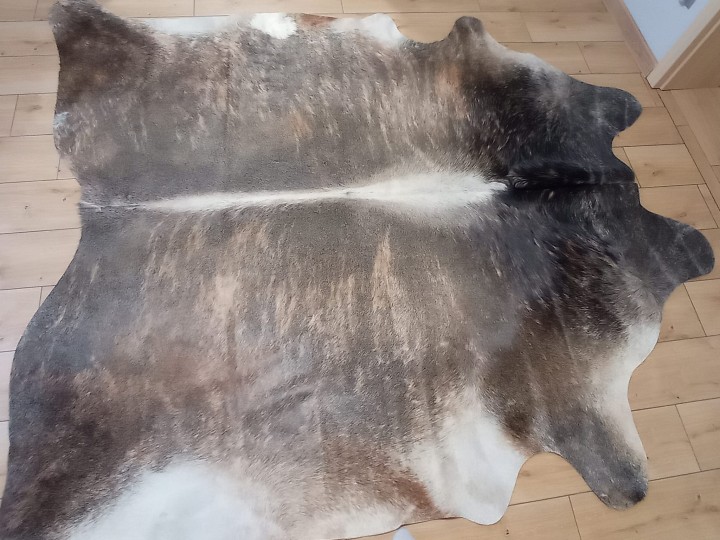 Naturalna skóra bydlęca 22x215 cm rozłożona w dużym salonie - TYGRYS - dekoracyjneskory.pl