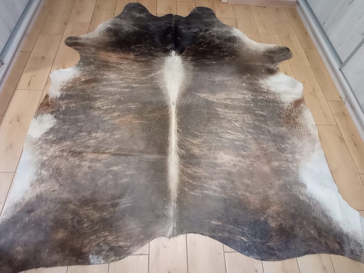 Naturalna skóra bydlęca 22x215 cm rozłożona w dużym salonie - TYGRYS - dekoracyjneskory.pl
