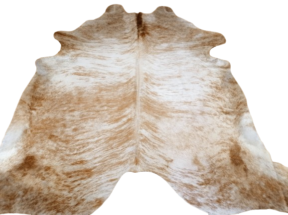 Naturalna skóra bydlęca 235x225 cm rozłożona w dużym salonie - TYGRYS - dekoracyjneskory.pl