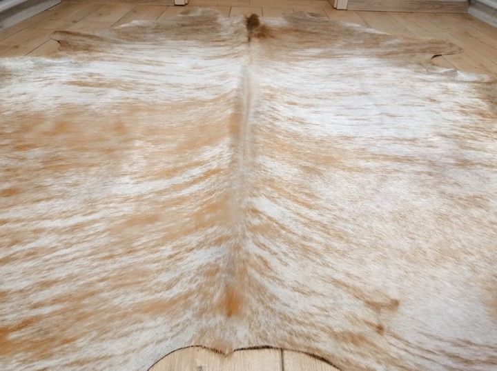 Naturalna skóra bydlęca 235x225 cm rozłożona w dużym salonie - zbliżenie na lśniącą sierść - dekoracyjneskory.pl