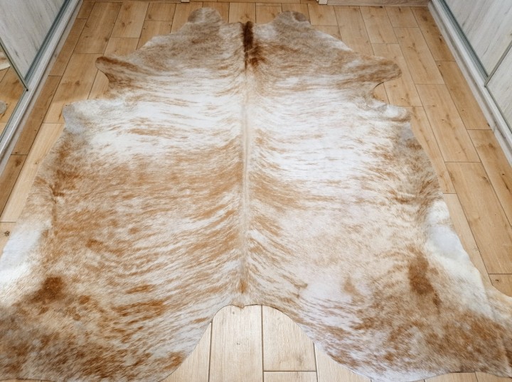 Naturalna skóra bydlęca 235x225 cm rozłożona w dużym salonie - TYGRYS - dekoracyjneskory.pl