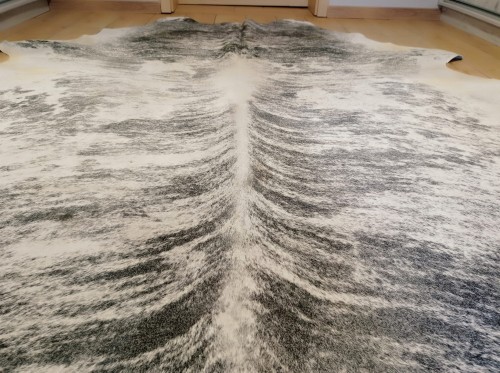 Naturalna skóra bydlęca 245x225 cm rozłożona w dużym salonie - zbliżenie na lśniącą sierść - dekoracyjneskory.pl
