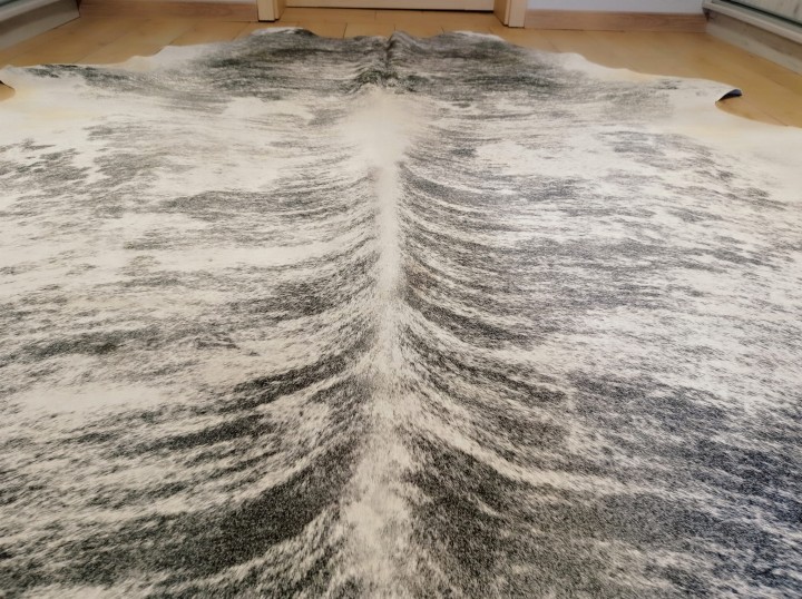 Naturalna skóra bydlęca 245x225 cm rozłożona w dużym salonie - zbliżenie na lśniącą sierść - dekoracyjneskory.pl