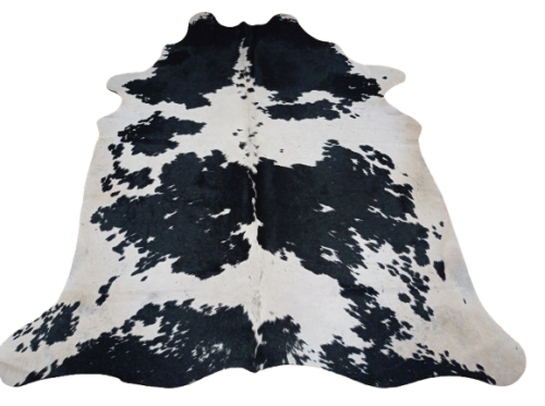 Naturalna skóra bydlęca 210x175 cm rozłożona w dużym salonie - ŁACIATA - dekoracyjneskory.pl