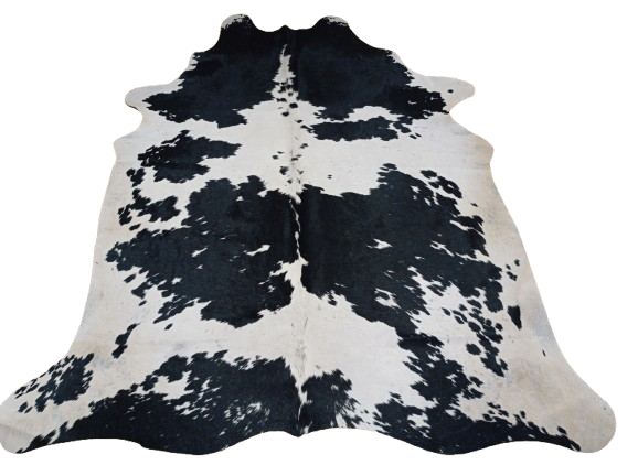 Naturalna skóra bydlęca 210x175 cm rozłożona w dużym salonie - ŁACIATA - dekoracyjneskory.pl