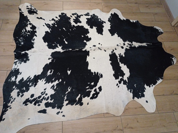 Naturalna skóra bydlęca 210x175 cm rozłożona w dużym salonie - ŁACIATA - dekoracyjneskory.pl