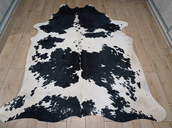 Naturalna skóra bydlęca 210x175 cm rozłożona w dużym salonie - ŁACIATA - dekoracyjneskory.pl