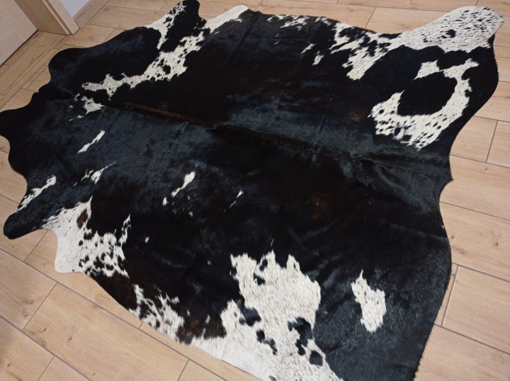 Naturalna skóra bydlęca 220x185 cm rozłożona w dużym salonie - ŁACIATA - dekoracyjneskory.pl