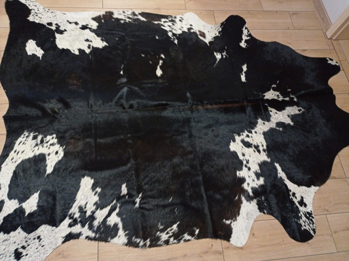 Naturalna skóra bydlęca 220x185 cm rozłożona w dużym salonie - ŁACIATA - dekoracyjneskory.pl