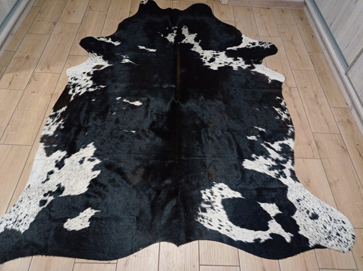 Naturalna skóra bydlęca 220x185 cm rozłożona w dużym salonie - ŁACIATA - dekoracyjneskory.pl