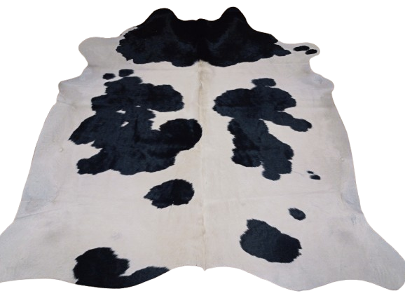 Naturalna skóra bydlęca 205x190 cm rozłożona w dużym salonie -ŁACIATA - dekoracyjneskory.pl