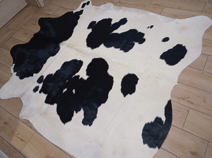Naturalna skóra bydlęca 205x190 cm rozłożona w dużym salonie -ŁACIATA - dekoracyjneskory.pl
