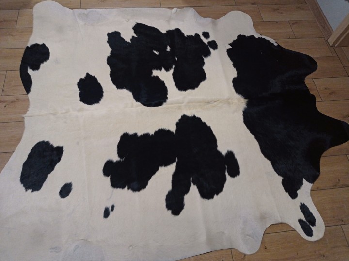 Naturalna skóra bydlęca 205x190 cm rozłożona w dużym salonie -ŁACIATA - dekoracyjneskory.pl