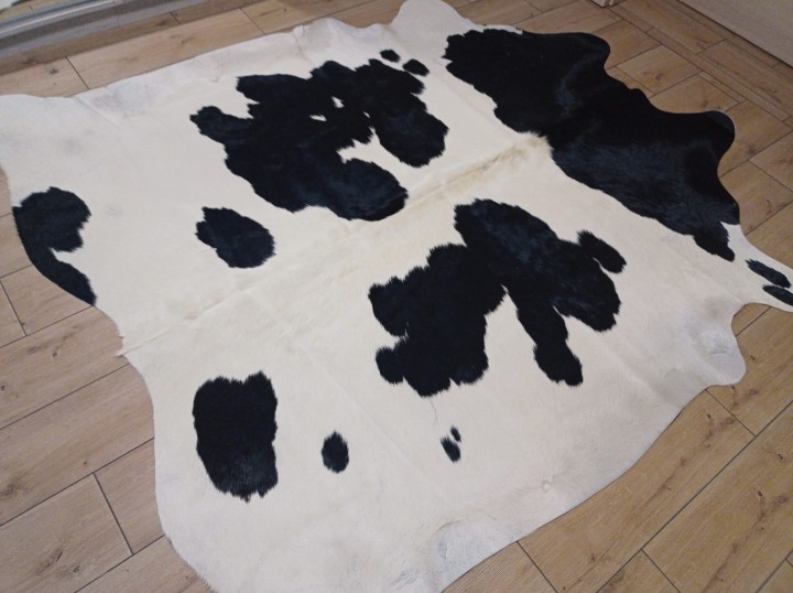 Naturalna skóra bydlęca 205x190 cm rozłożona w dużym salonie -ŁACIATA - dekoracyjneskory.pl