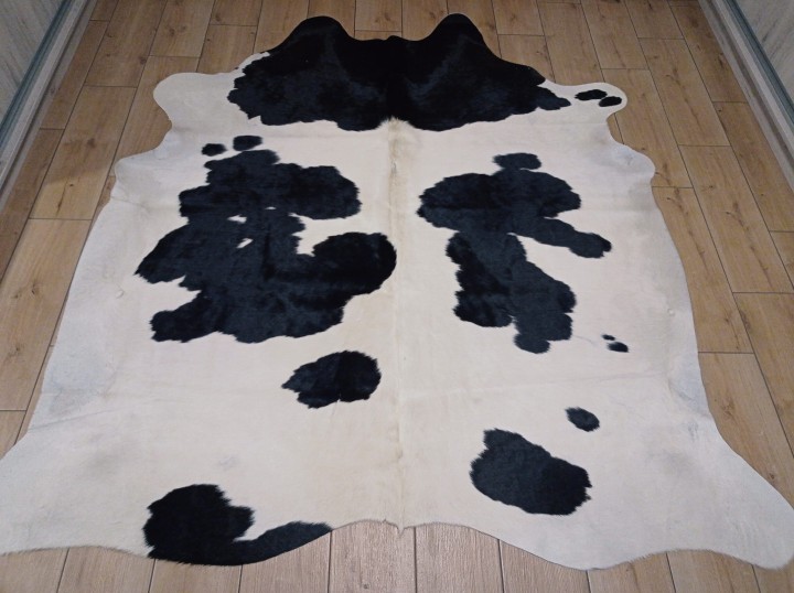 Naturalna skóra bydlęca 205x190 cm rozłożona w dużym salonie -ŁACIATA - dekoracyjneskory.pl