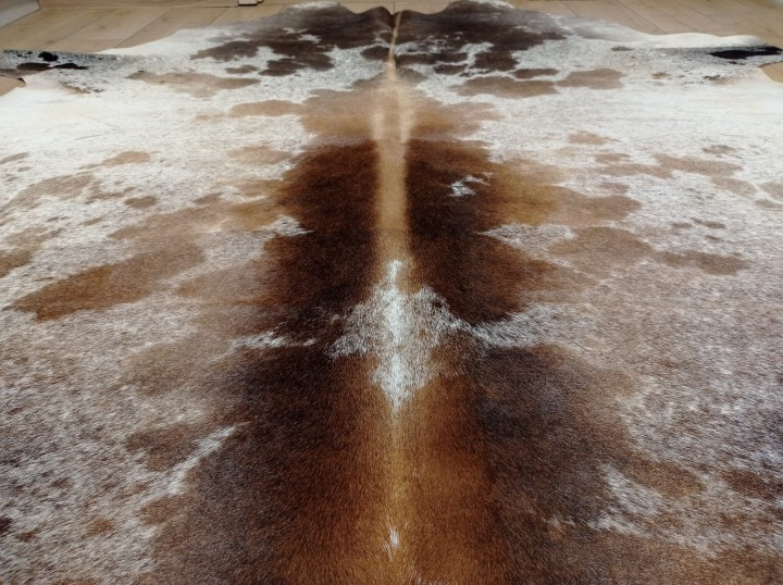 Ogromna  skóra bydlęca 230x210 cm rozłożona w dużym salonie -  ŁACIATA XXL - zbliżenie na lśniącą sierść -  dekoracyjneskory.pl