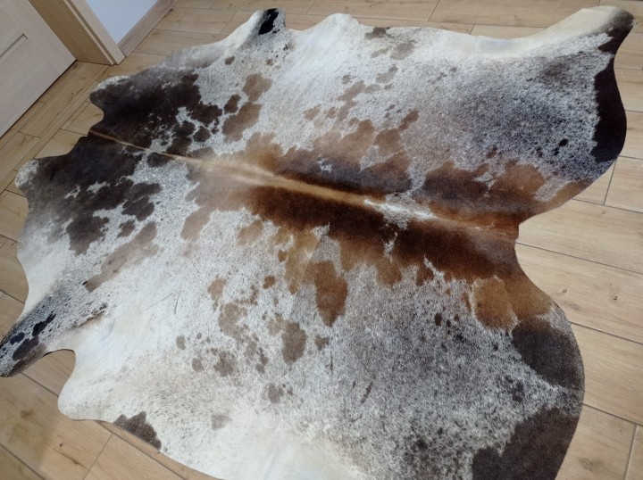 Ogromna  skóra bydlęca 230x210 cm rozłożona w dużym salonie -  ŁACIATA XXL - dekoracyjneskory.pl