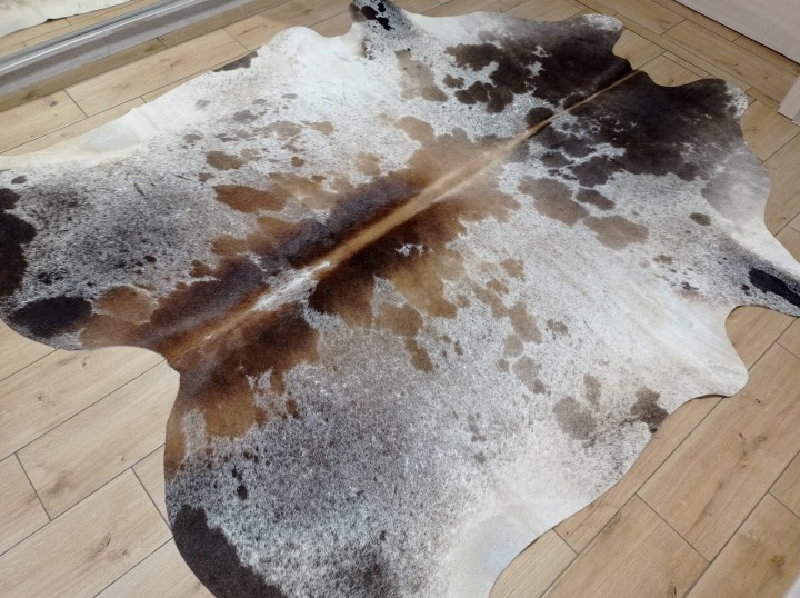 Ogromna  skóra bydlęca 230x210 cm rozłożona w dużym salonie -  ŁACIATA XXL - dekoracyjneskory.pl