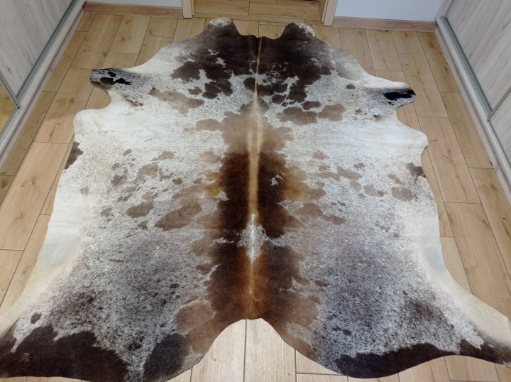 Ogromna  skóra bydlęca 230x210 cm rozłożona w dużym salonie -  ŁACIATA XXL - dekoracyjneskory.pl