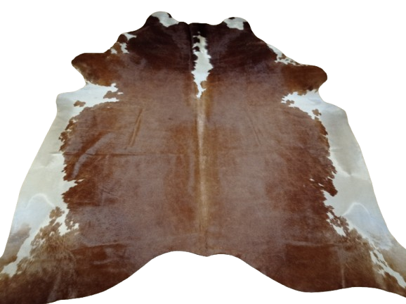 Ogromna  skóra bydlęca 225x220 cm rozłożona w dużym salonie -  XXL - dekoracyjneskory.pl