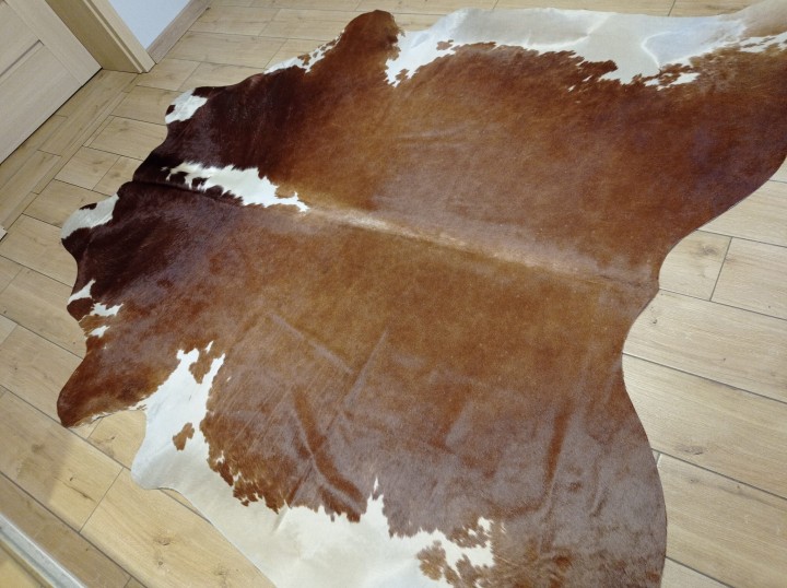 Ogromna  skóra bydlęca 225x220 cm rozłożona w dużym salonie -  XXL - dekoracyjneskory.pl