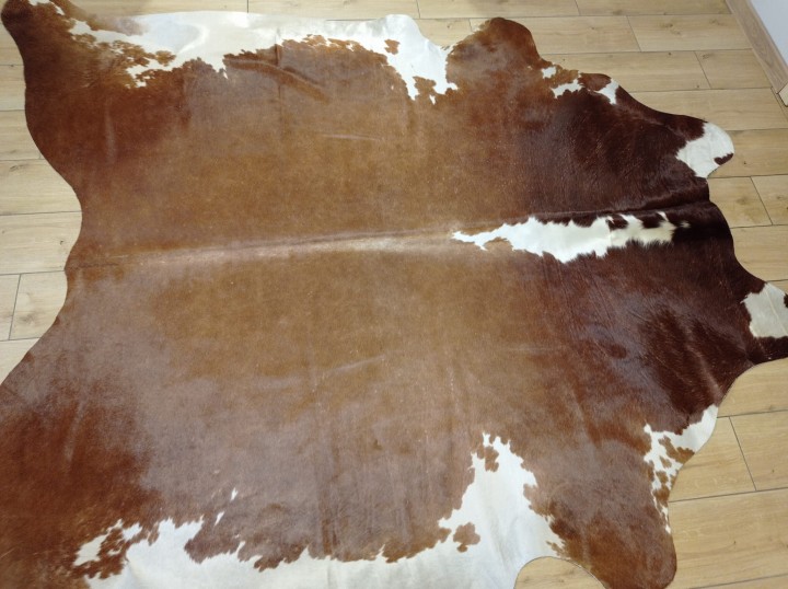 Ogromna  skóra bydlęca 225x220 cm rozłożona w dużym salonie -  XXL - dekoracyjneskory.pl