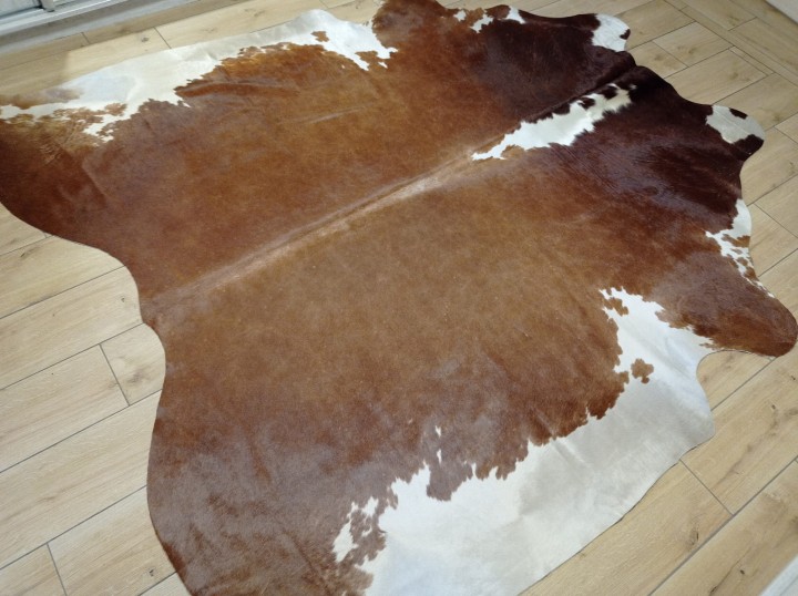 Ogromna  skóra bydlęca 225x220 cm rozłożona w dużym salonie -  XXL - dekoracyjneskory.pl