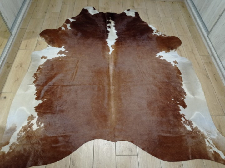 Ogromna  skóra bydlęca 225x220 cm rozłożona w dużym salonie -  XXL - dekoracyjneskory.pl