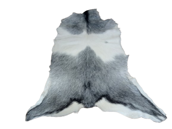 Skóra Kozia Naturalna  Szara 100x80cm rozłożona w salonie - dekoracyjneskory.pl