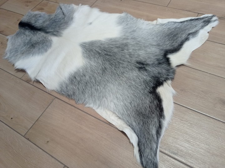 Skóra Kozia Naturalna  Szara 100x80cm rozłożona w salonie - dekoracyjneskory.pl