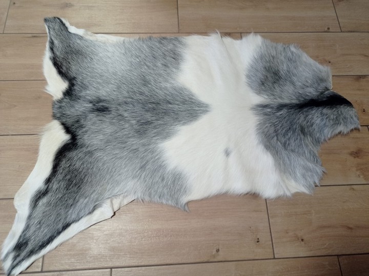 Skóra Kozia Naturalna  Szara 100x80cm rozłożona w salonie - dekoracyjneskory.pl