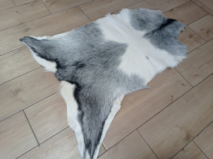 Skóra Kozia Naturalna  Szara 100x80cm rozłożona w salonie - dekoracyjneskory.pl