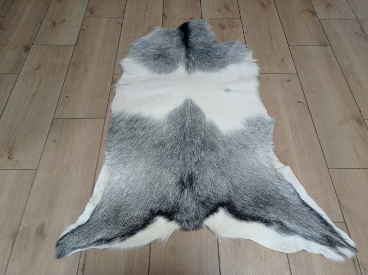 Skóra Kozia Naturalna  Szara 100x80cm rozłożona w salonie - dekoracyjneskory.pl