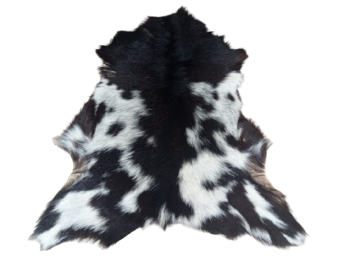 Skóra Kozia Naturalna  Ciemnobrązowo-biała 80x55cm rozłożona w salonie - dekoracyjneskory.pl