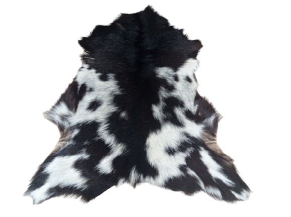 Skóra Kozia Naturalna  Ciemnobrązowo-biała 80x55cm rozłożona w salonie - dekoracyjneskory.pl