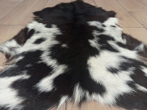 Skóra Kozia Naturalna  Ciemnobrązowo-biała 80x55cm rozłożona w salonie - zbliżenie na lśniący włos -  dekoracyjneskory.pl