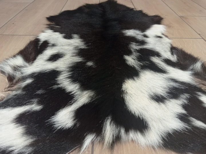 Skóra Kozia Naturalna  Ciemnobrązowo-biała 80x55cm rozłożona w salonie - zbliżenie na lśniący włos -  dekoracyjneskory.pl