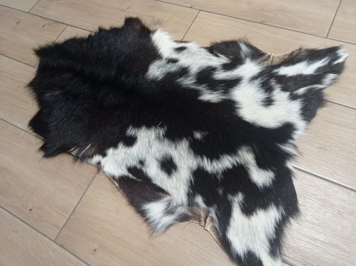 Skóra Kozia Naturalna  Ciemnobrązowo-biała 80x55cm rozłożona w salonie - dekoracyjneskory.pl