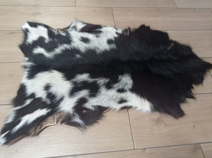 Skóra Kozia Naturalna  Ciemnobrązowo-biała 80x55cm rozłożona w salonie - dekoracyjneskory.pl